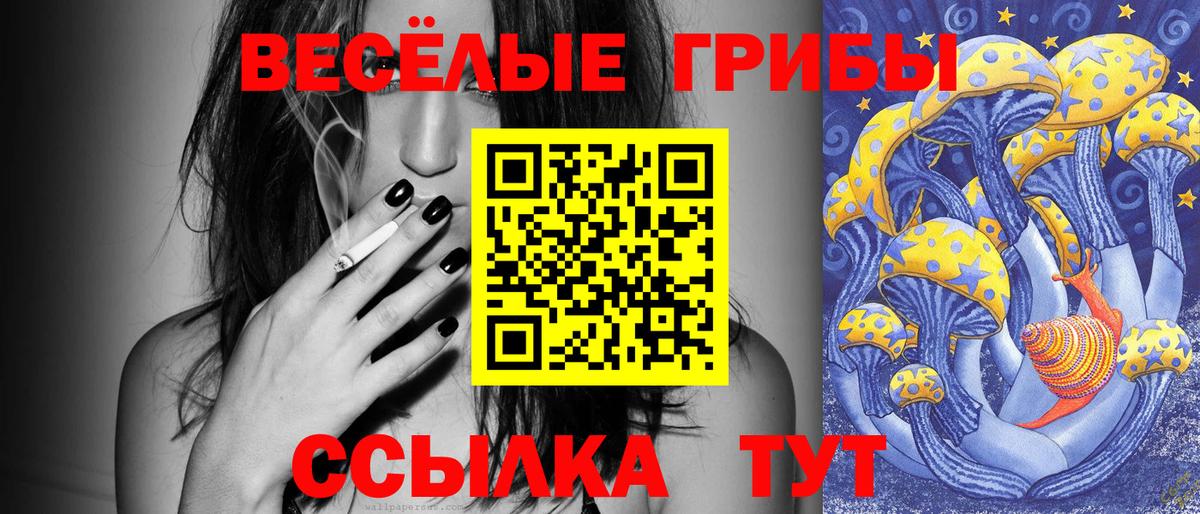 Лобня  Псилоцибиновые грибы ЛСД  Вход с VPN  Галлюциногенные грибы Psilocybe 
