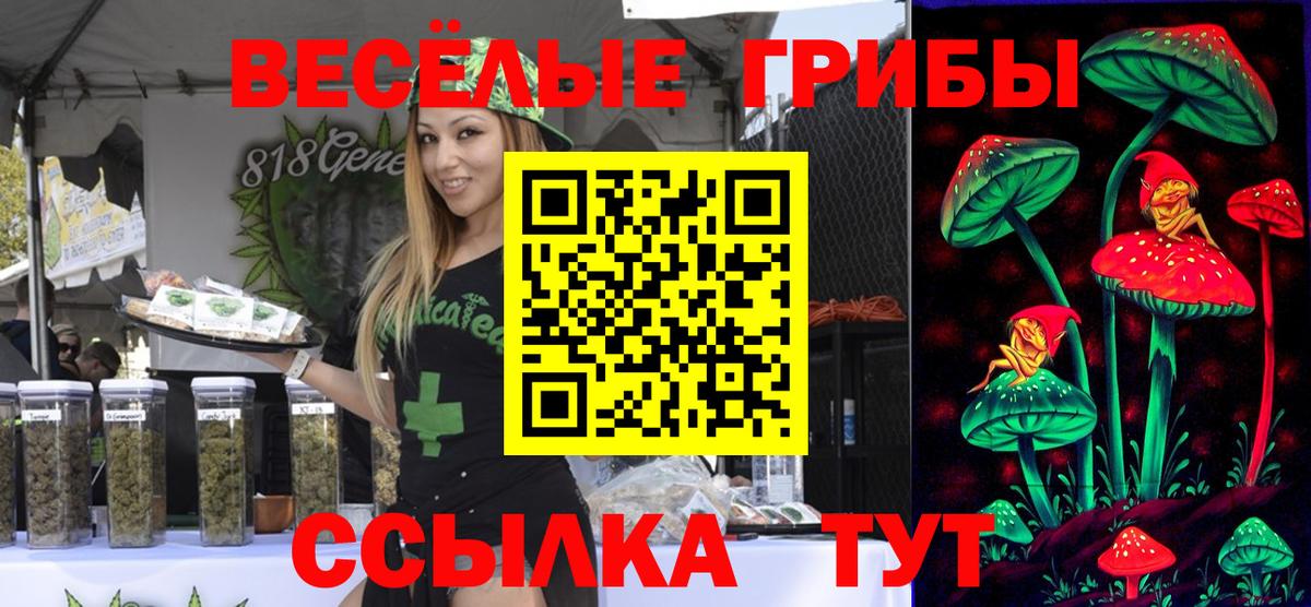 Псилоцибиновые грибы мицелий Лобня